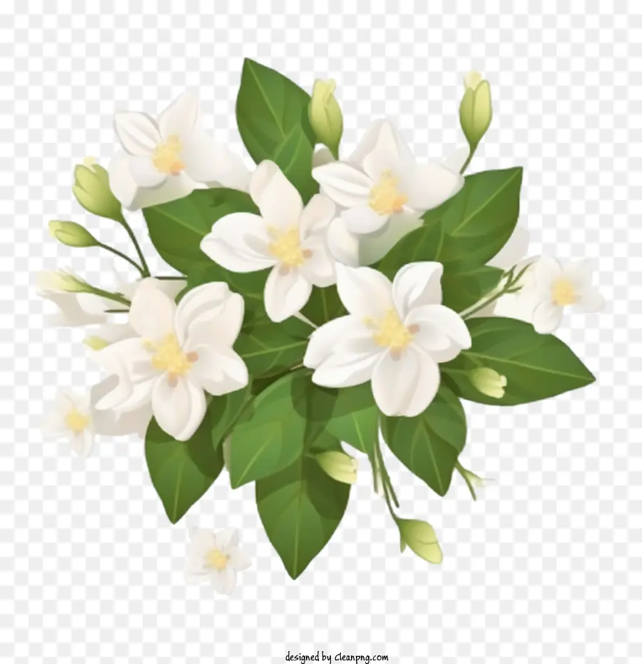 Fleur De Jasmin，Bouquet PNG