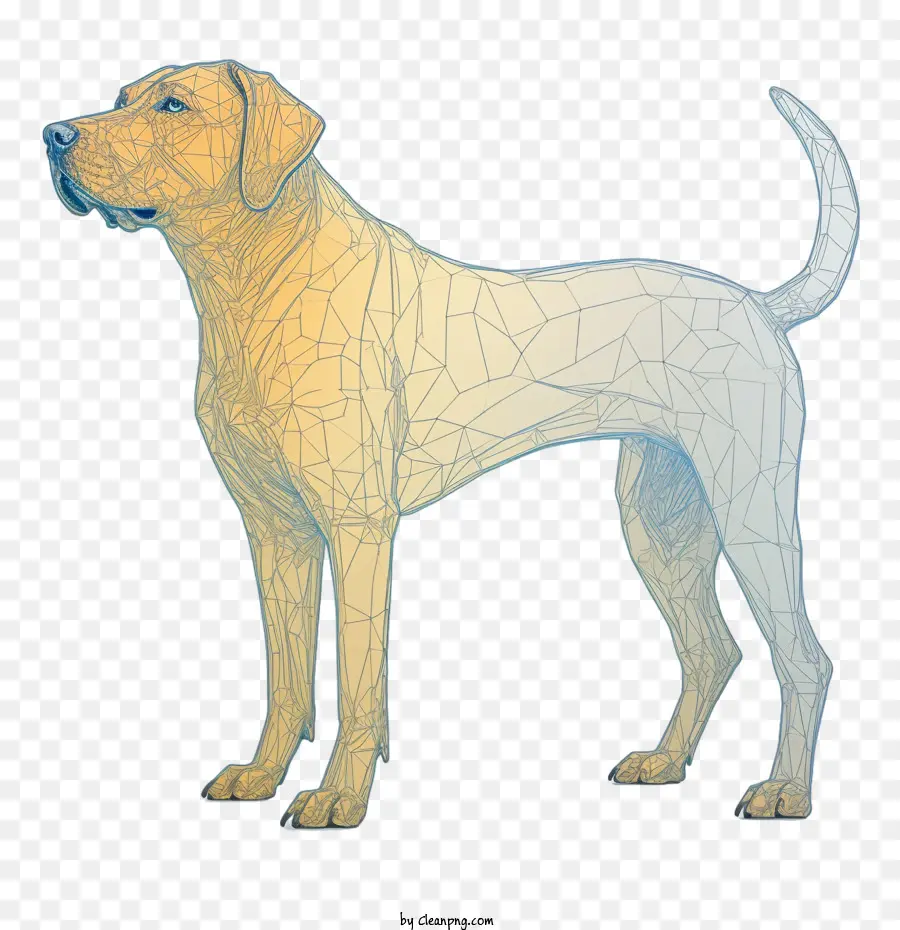 Chien，Animal De Compagnie PNG