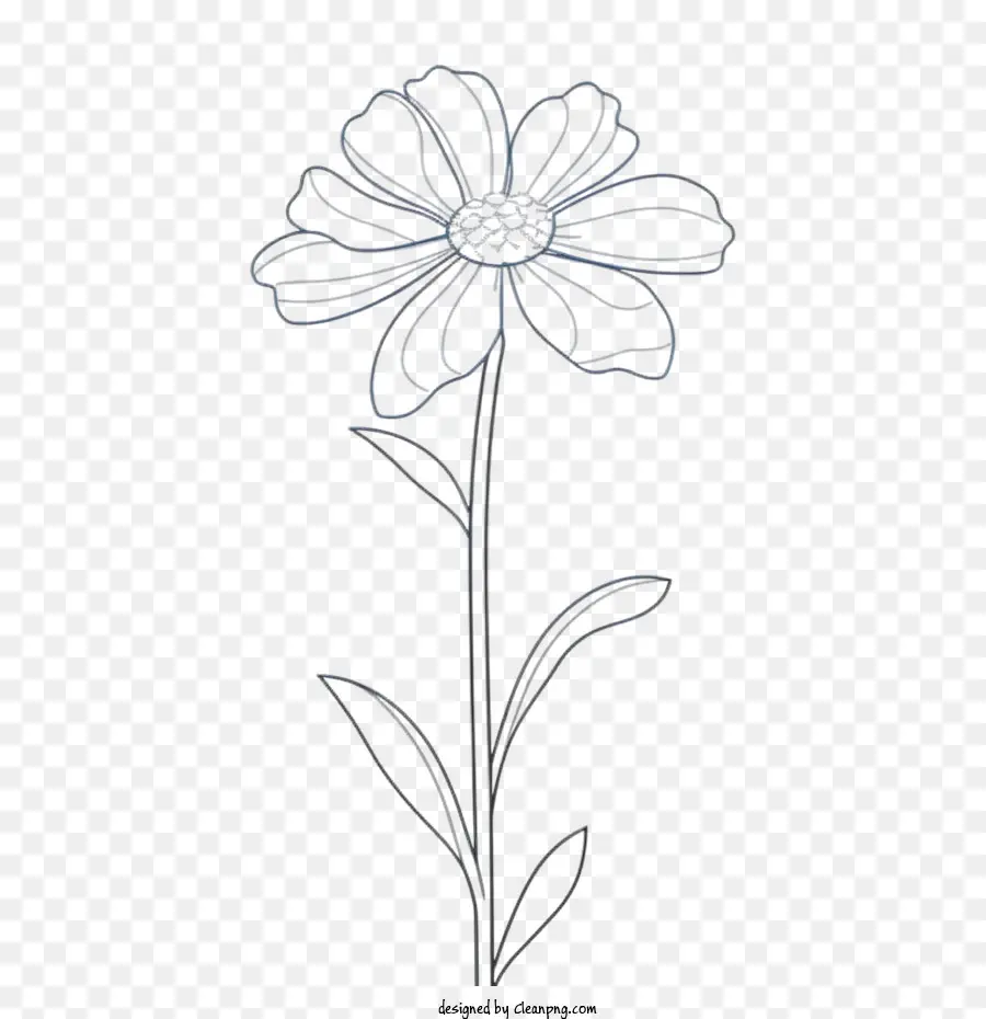 Fleur，Fleur Dessinée à La Main PNG