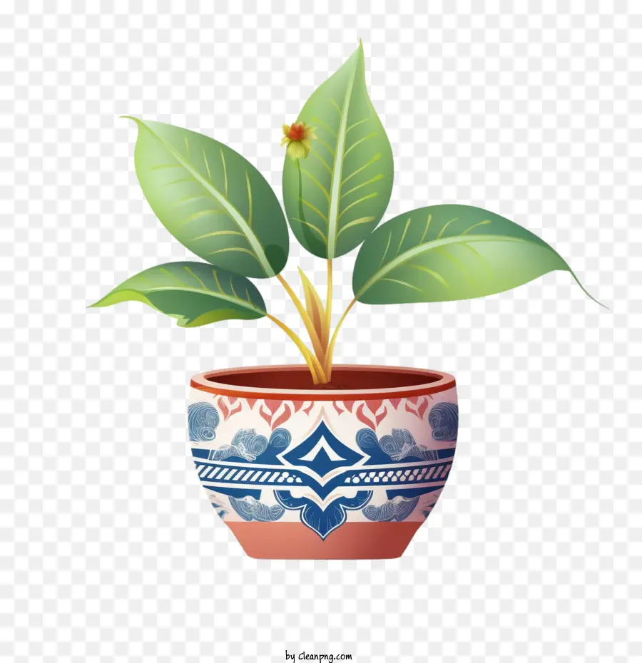 Plante，Pot PNG