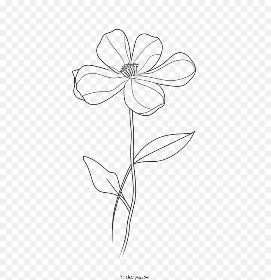 Fleur，Fleur Dessinée à La Main PNG