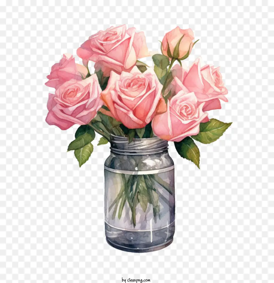 Rose Rose，Roses PNG