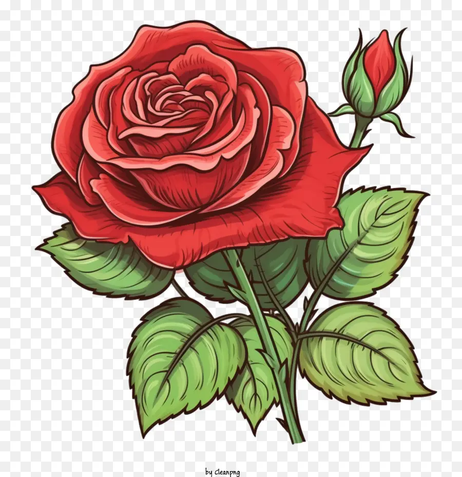 Rose Rouge，Vintage Rose Rouge PNG