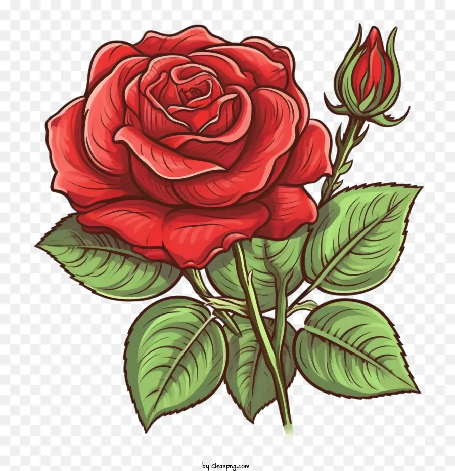 Rose Rouge，Vintage Rose Rouge PNG