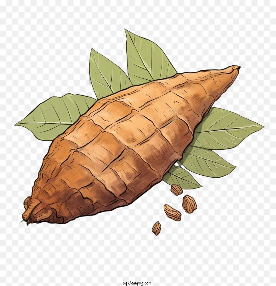 La Patate Douce，La Pomme De Terre PNG