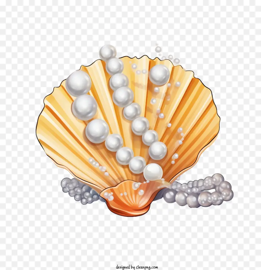 Coquillage，Perle PNG