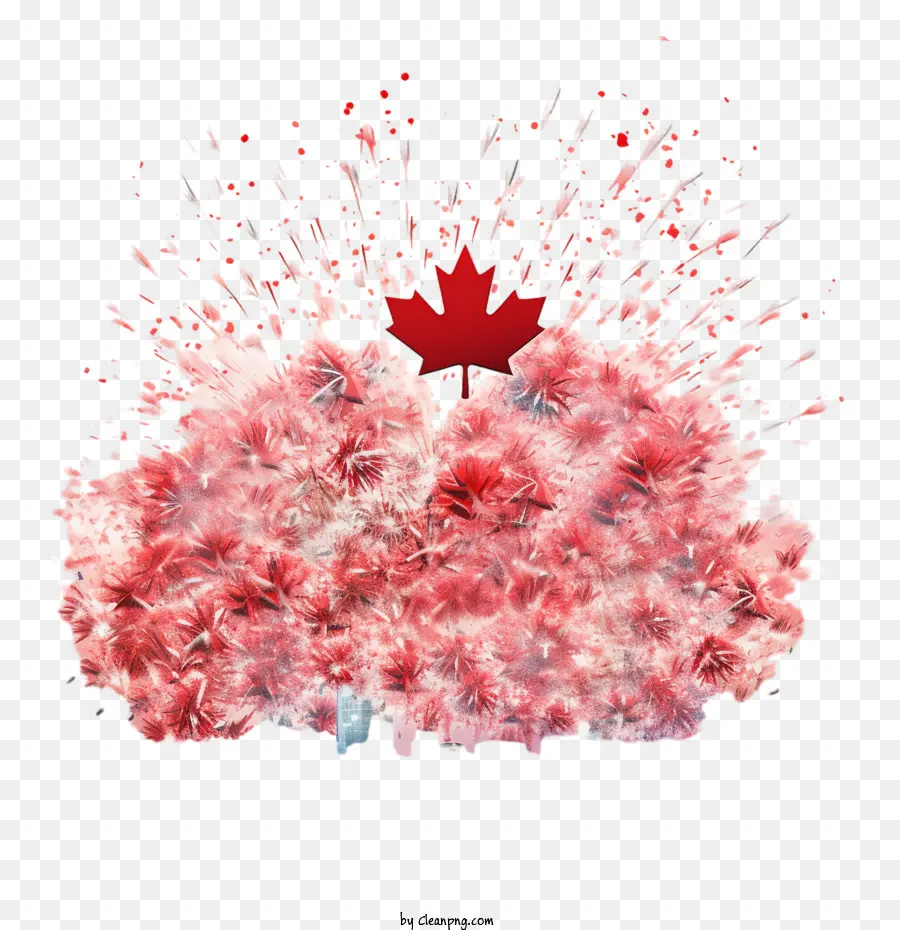 Fête Du Canada，Feux D'artifice PNG