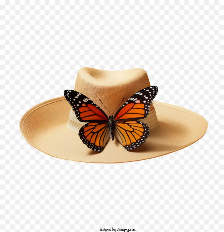 Chapeau D'été，Chapeau Avec Papillon PNG