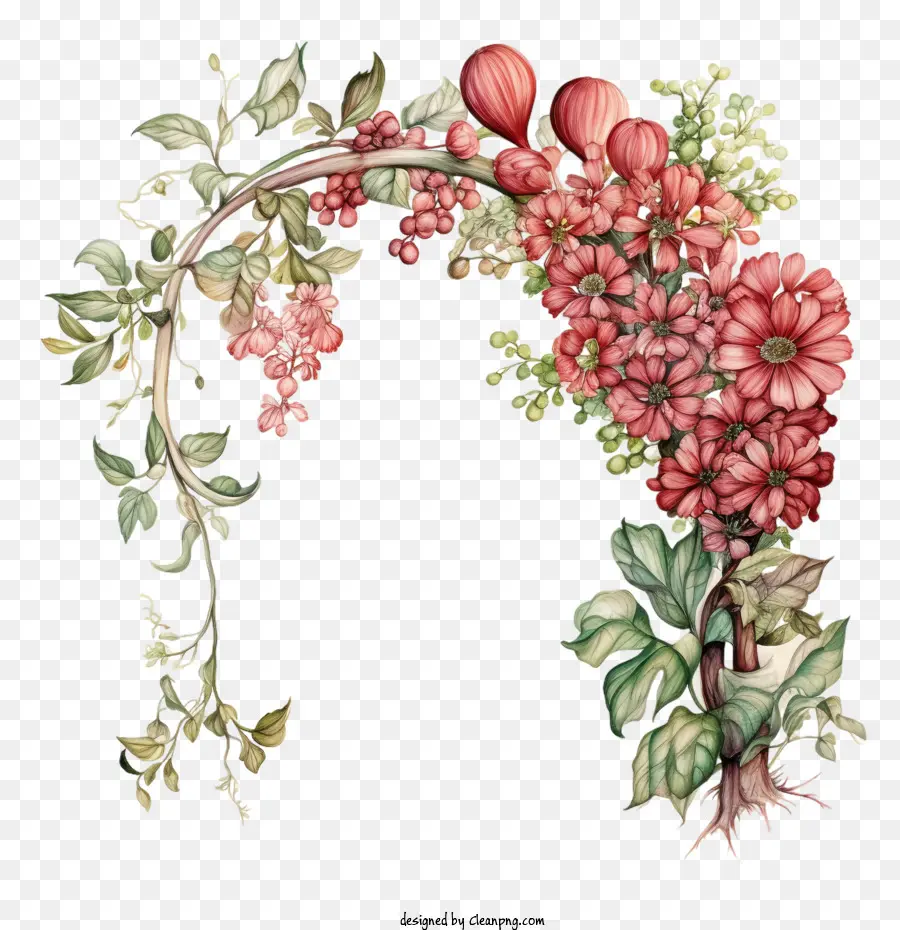 Fleur Arc，Floral PNG