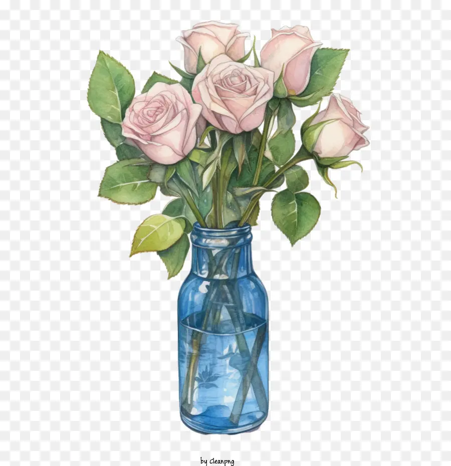 Rose，Rose Rose PNG