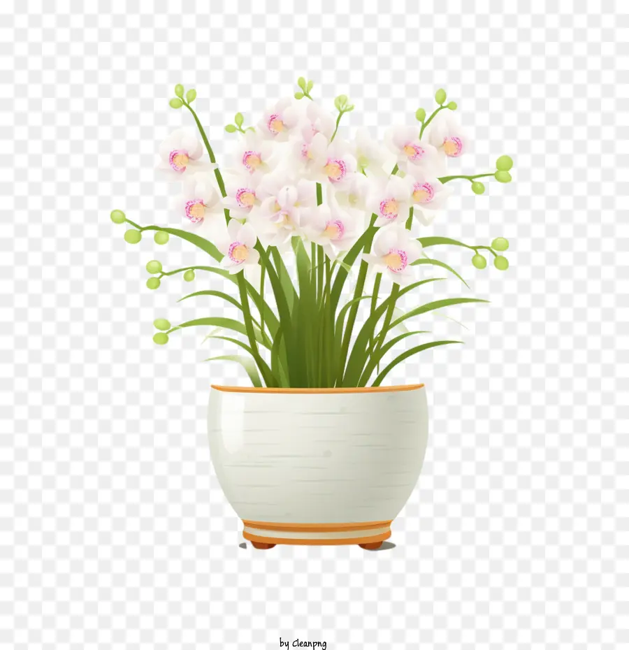 Plantes D'orchidées，Les Plantes En Pot PNG