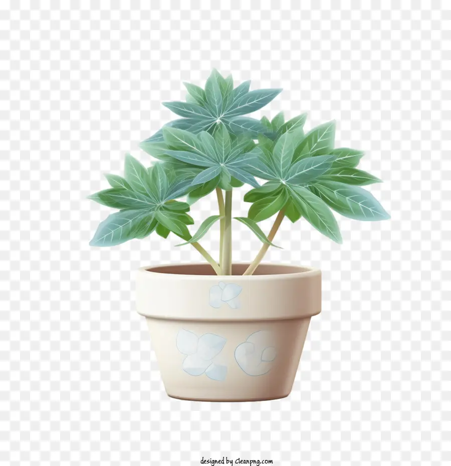 Fatsia Japonica，Plante En Pot PNG