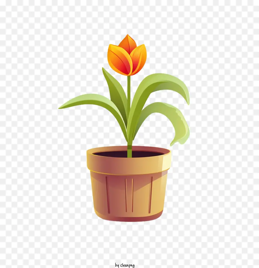 Fleur De Tulipe，Fleur En Pot PNG