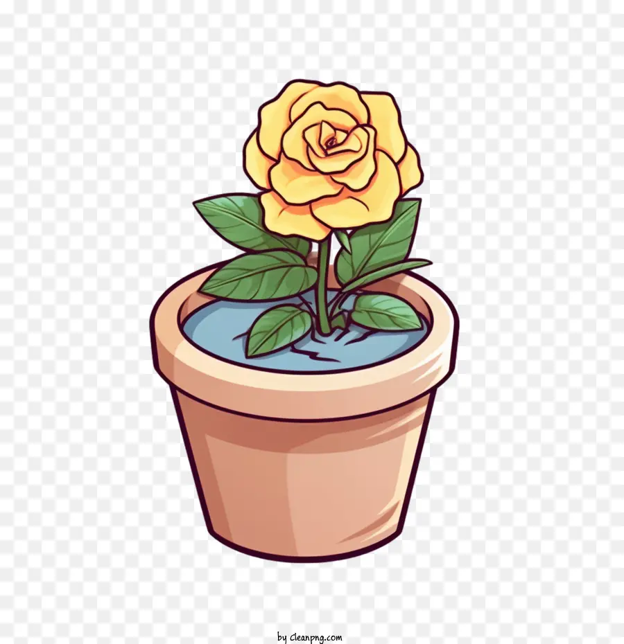 Rose，Pot De Fleur PNG