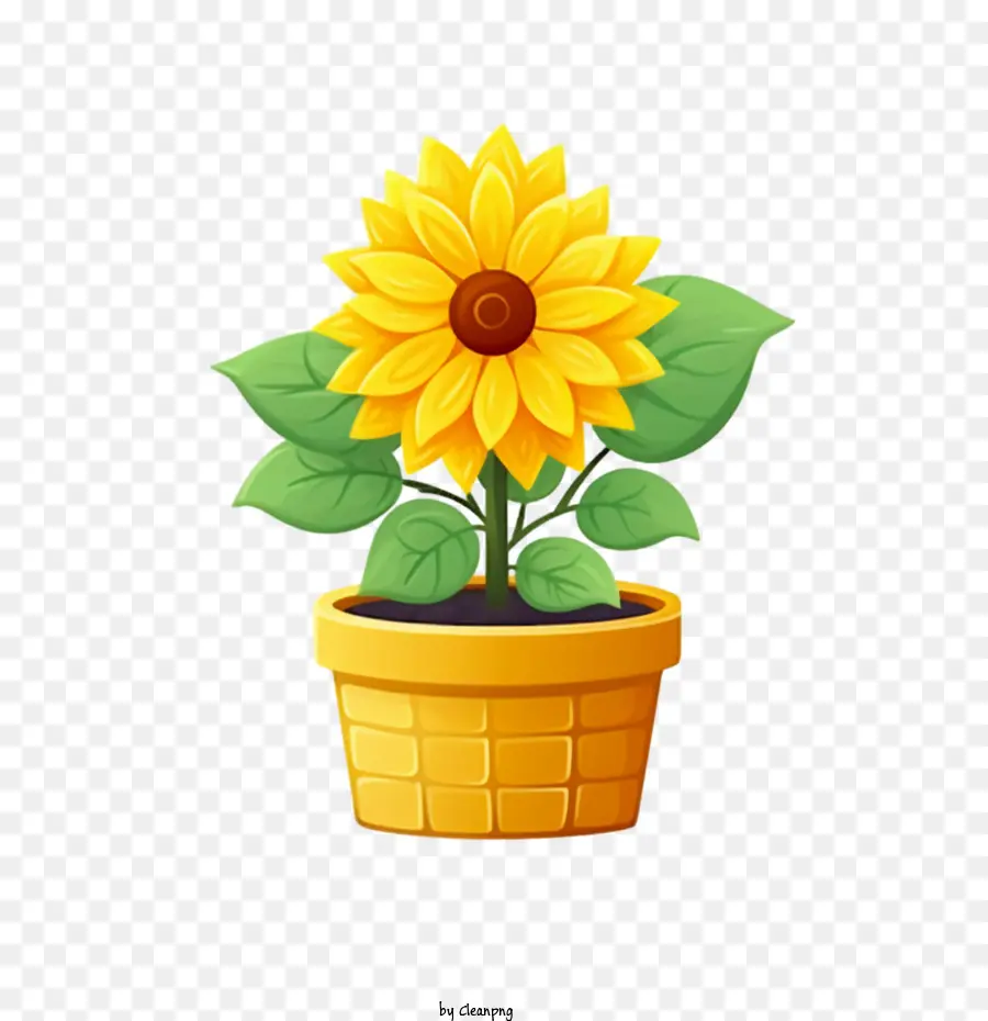 Tournesol，Pot De Fleur PNG