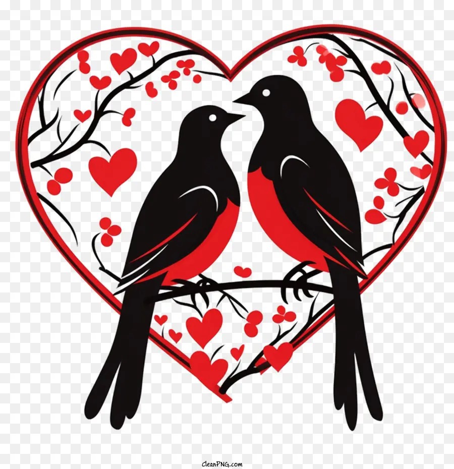 Les Oiseaux D'amour，Oiseau PNG