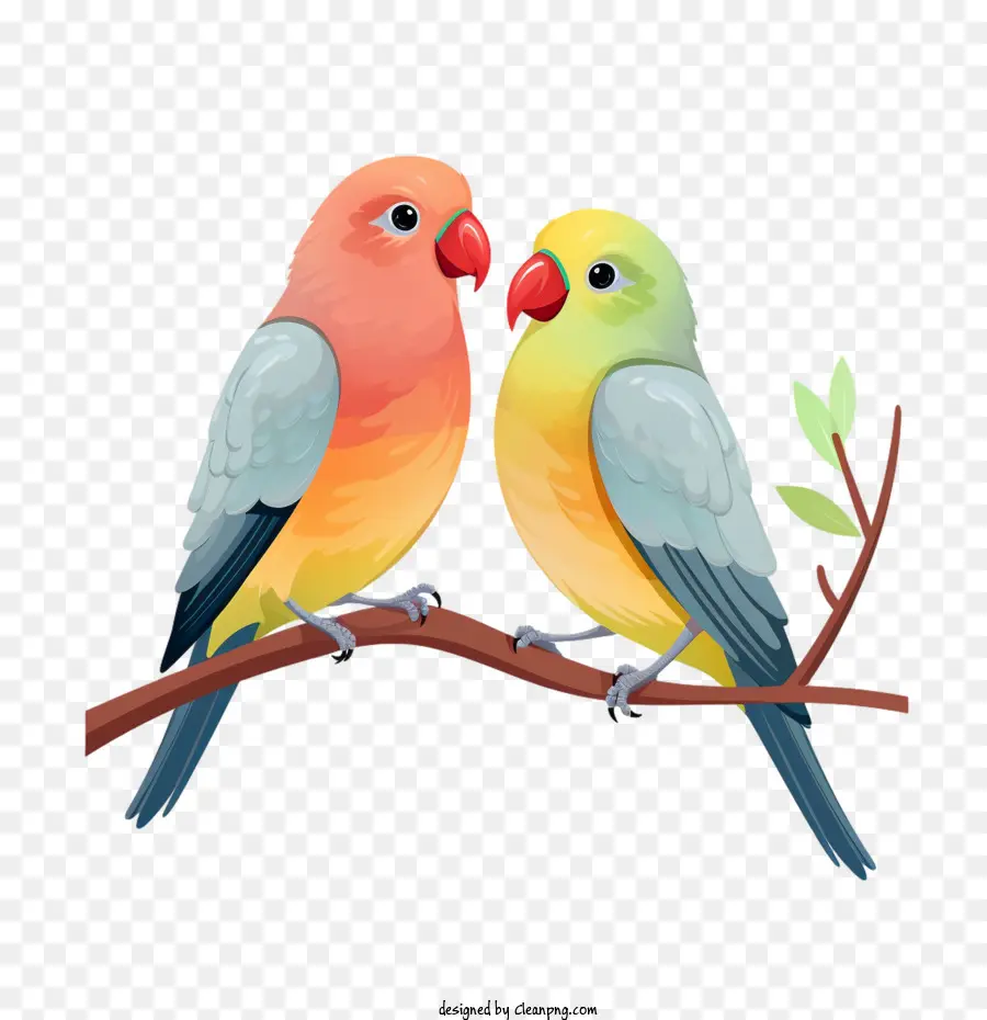Les Oiseaux D'amour，Perroquet PNG
