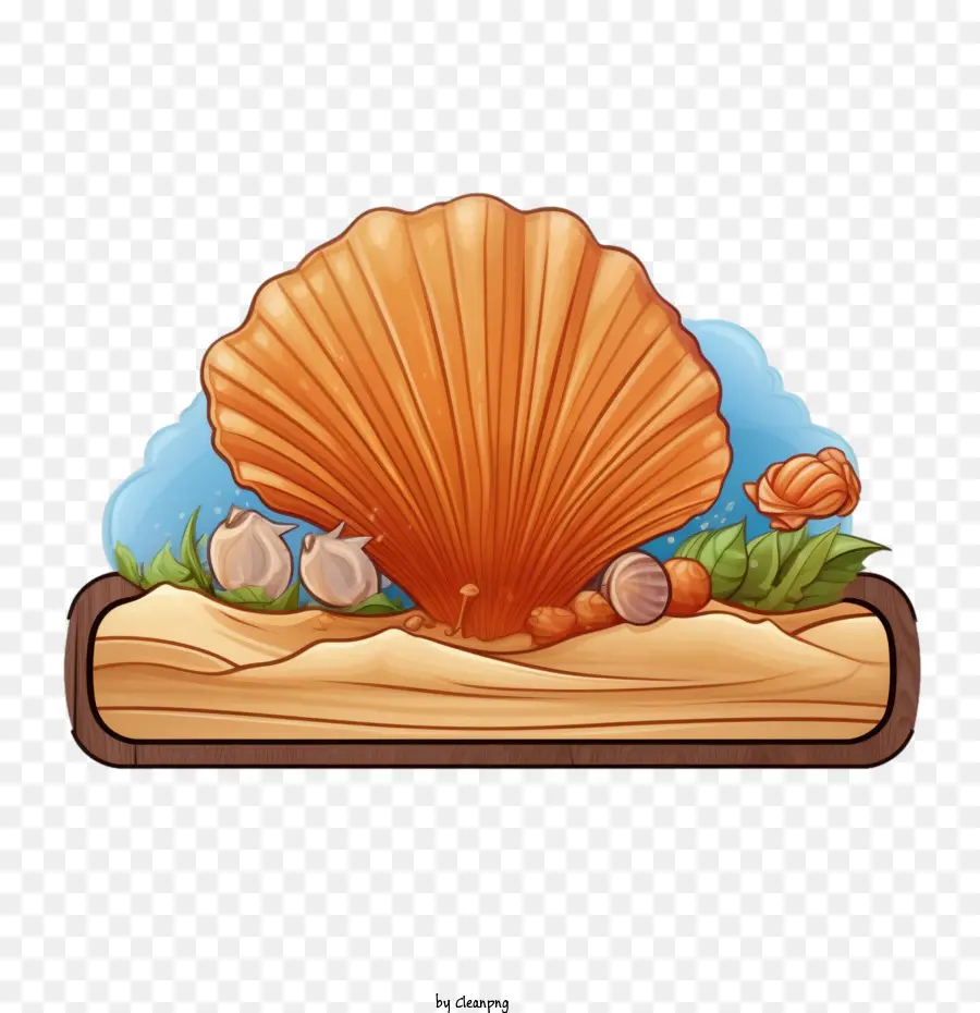 Coquillage，Shell PNG