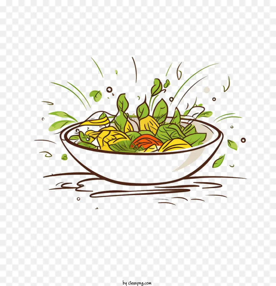 Sketch，Salade PNG