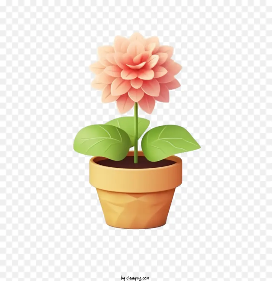 Dahlia Fleur，Fleur PNG