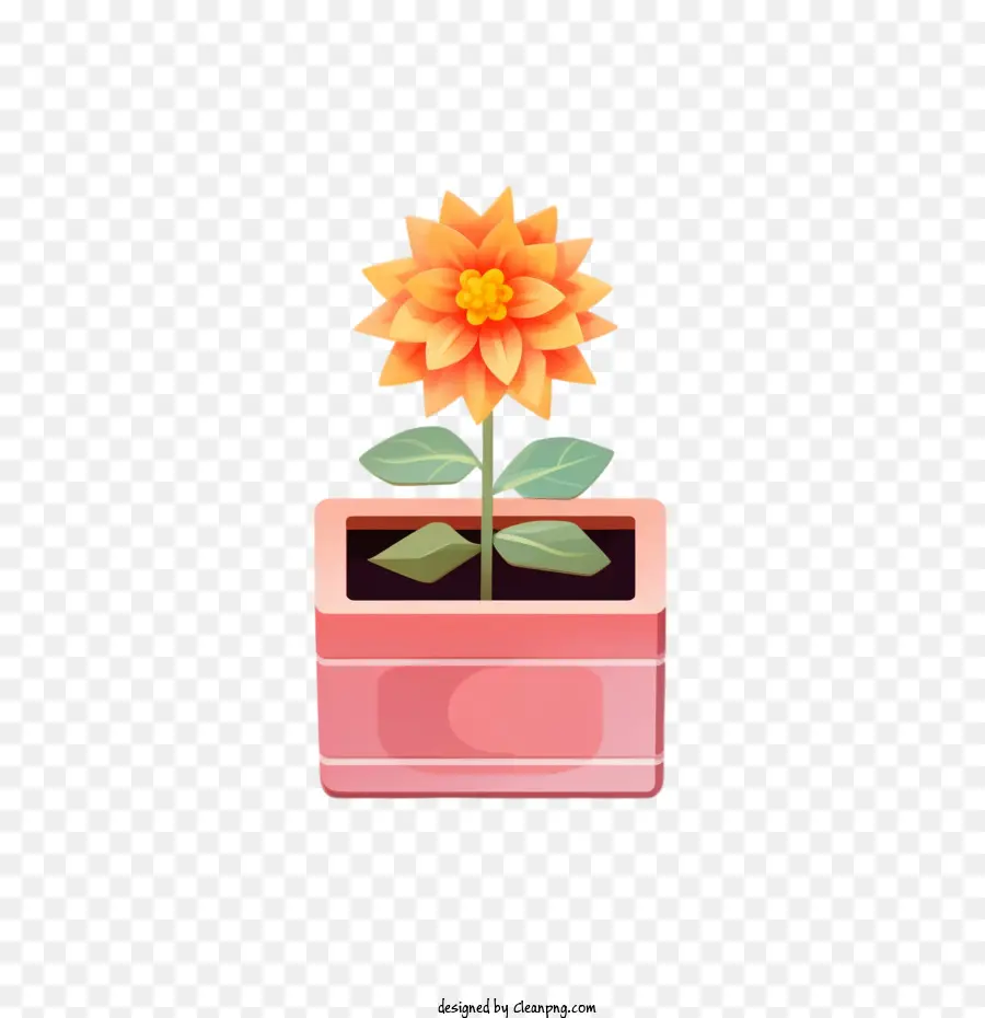 Dahlia Fleur，Flowerpot PNG