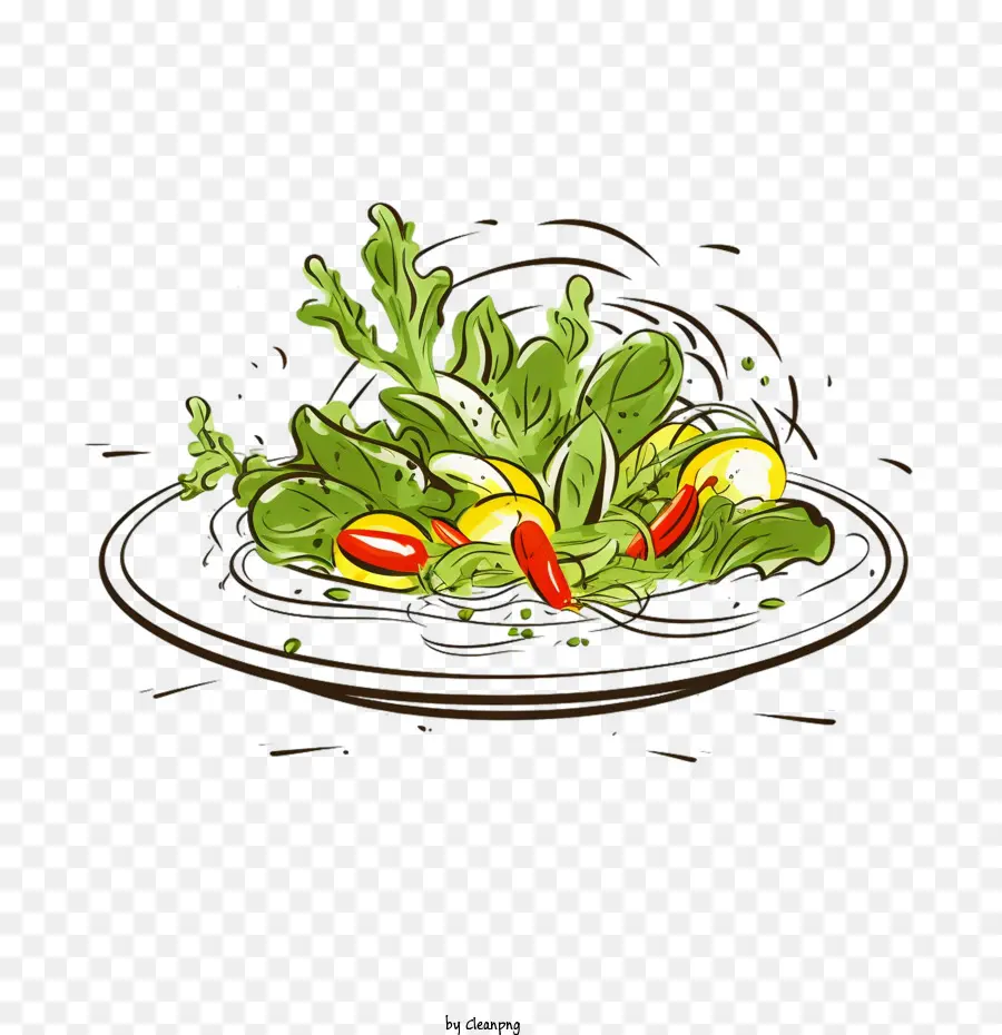 Salade De Croquis，Salade PNG