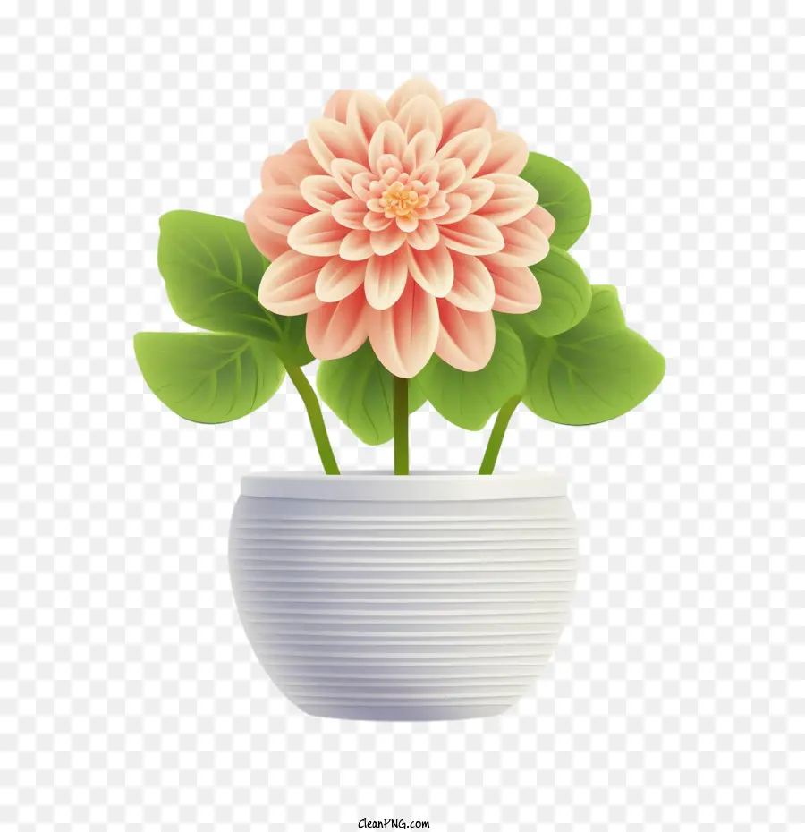 Dahlia Fleur，Bouquet PNG