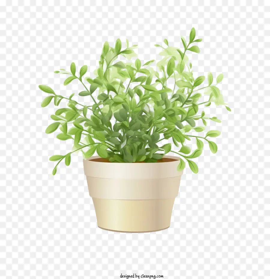 Usi Benjamina，Pot De Fleurs PNG