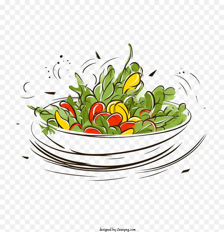 Salade De Croquis，Salade PNG