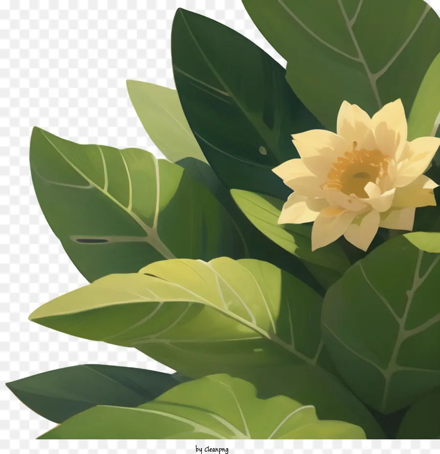 Fleurs，Fleur PNG