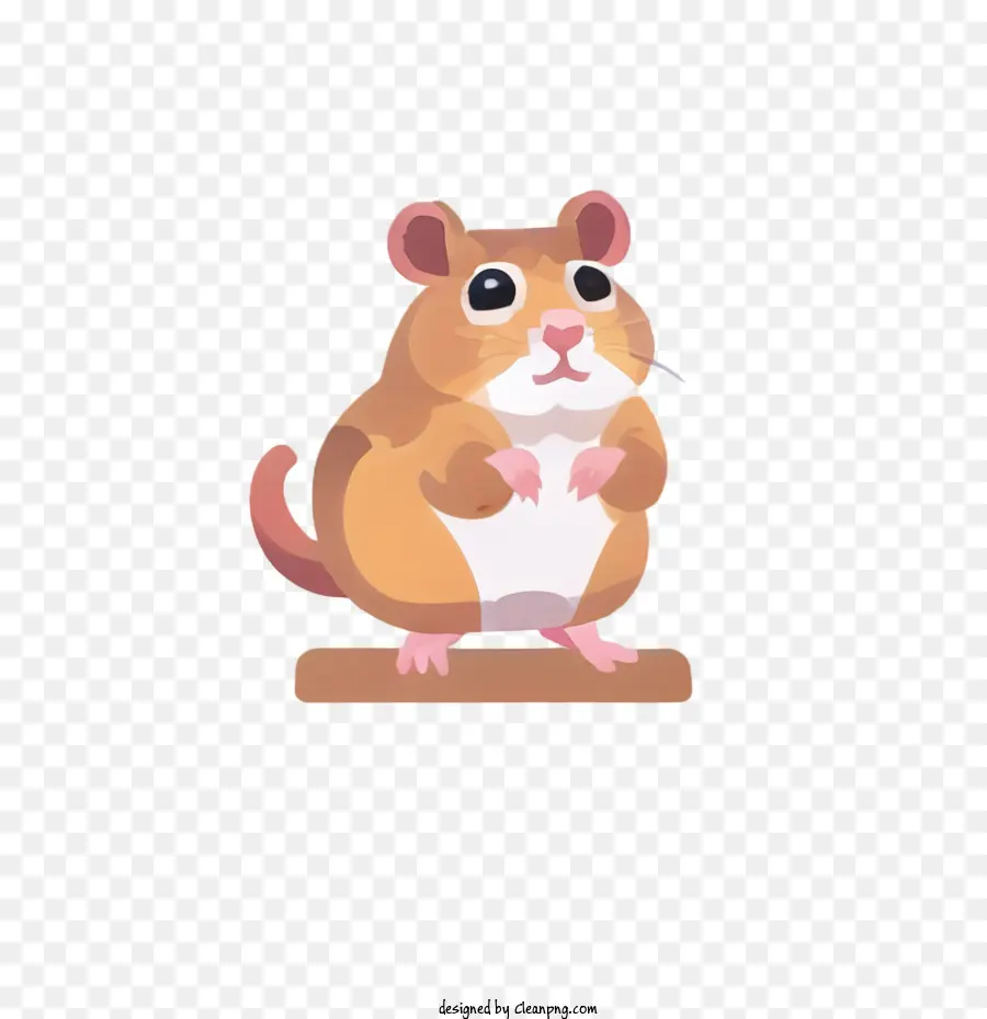 Mignon Hamster，Hamster PNG