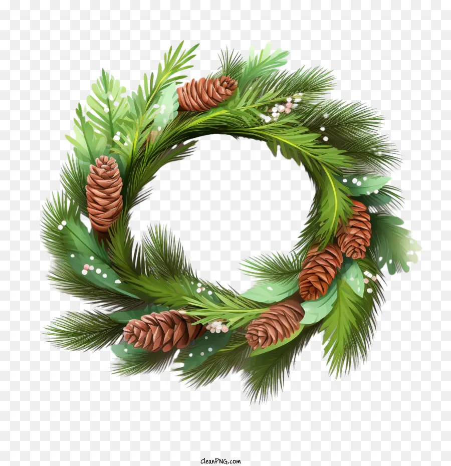 Couronne De Cèdre De Noël，Couronne De Noël PNG