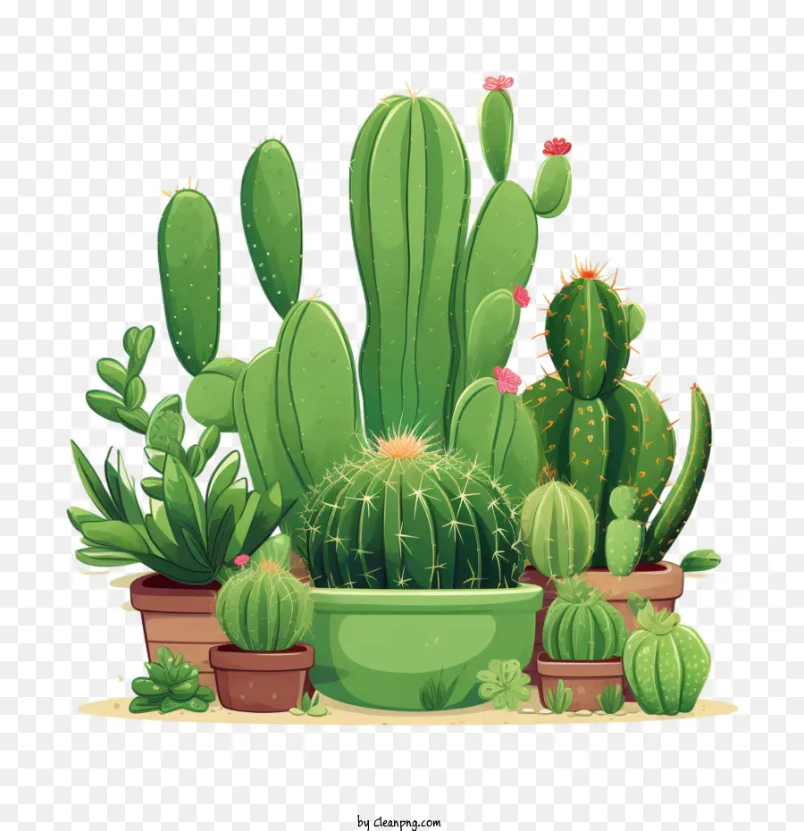 Cactus，Désert PNG