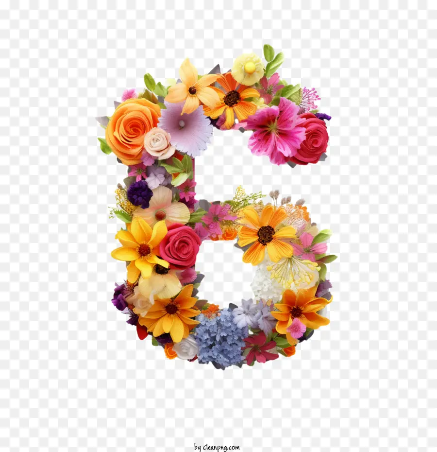 Numéro 6 Fleur，Fleurs Colorées PNG