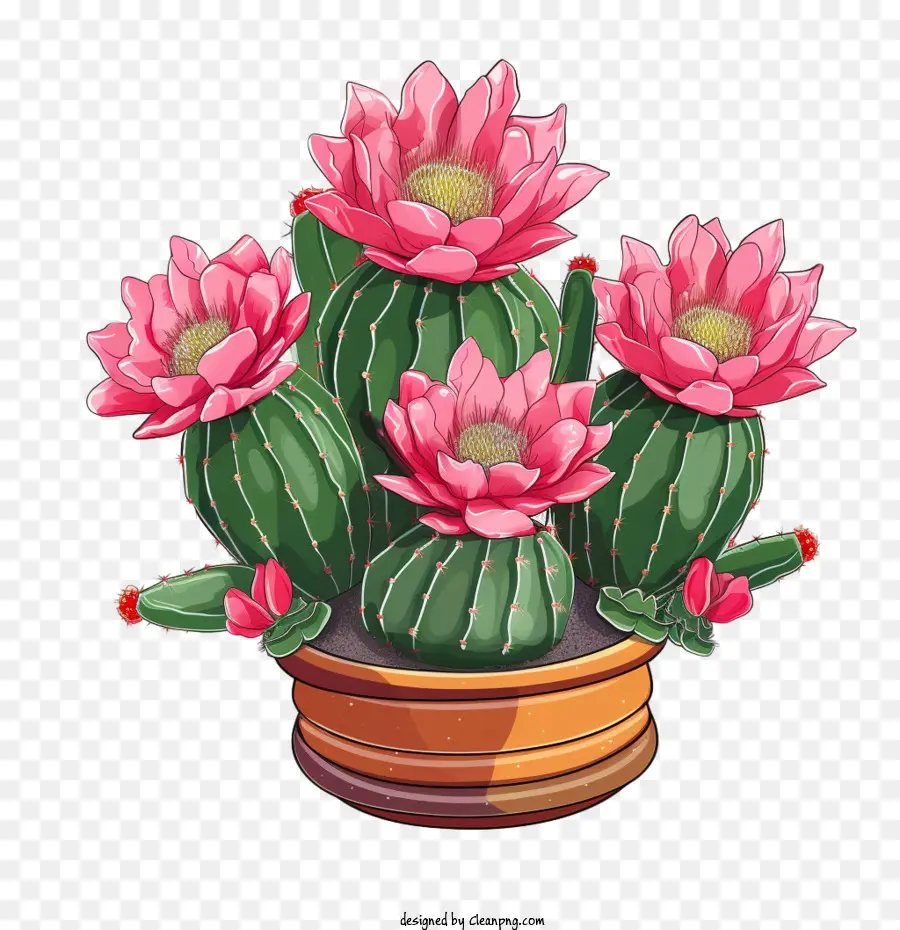Cactus，En Pot PNG