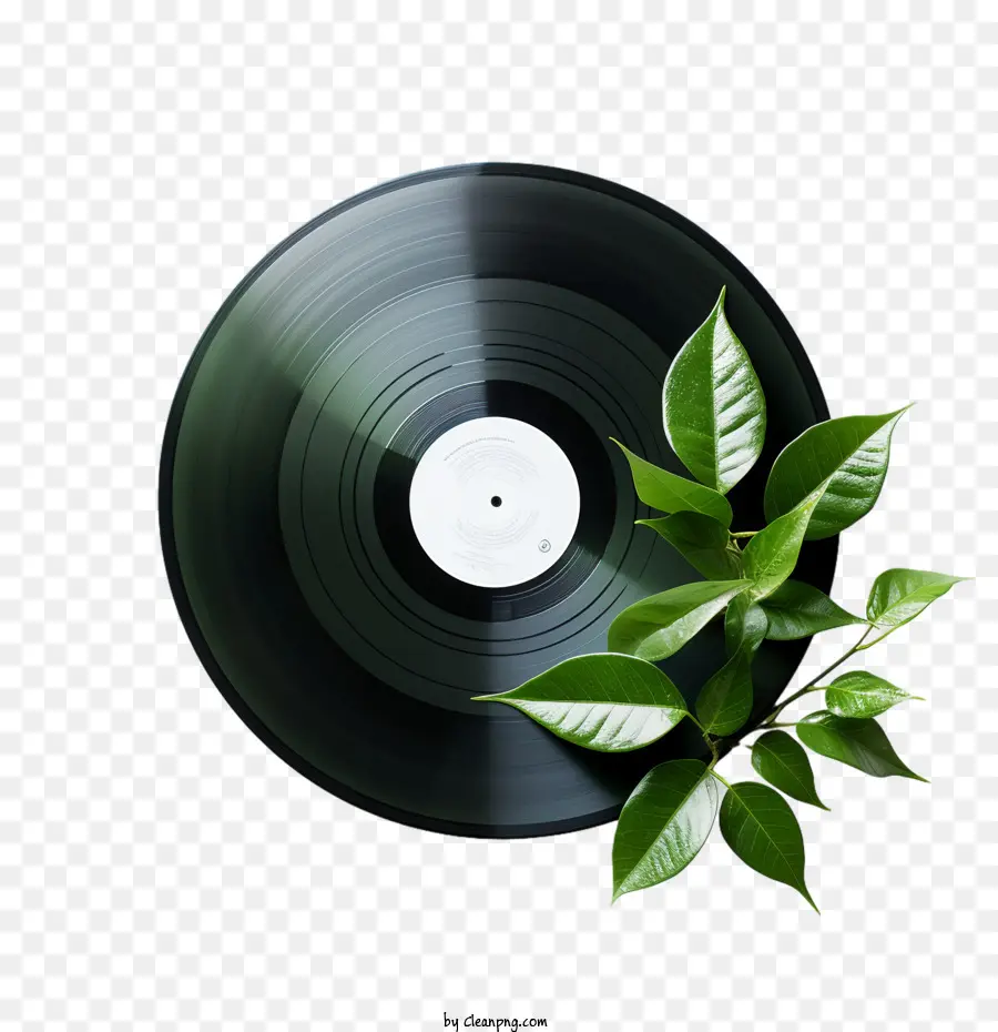 Journée Du Record Du Vinyle National，Musique PNG