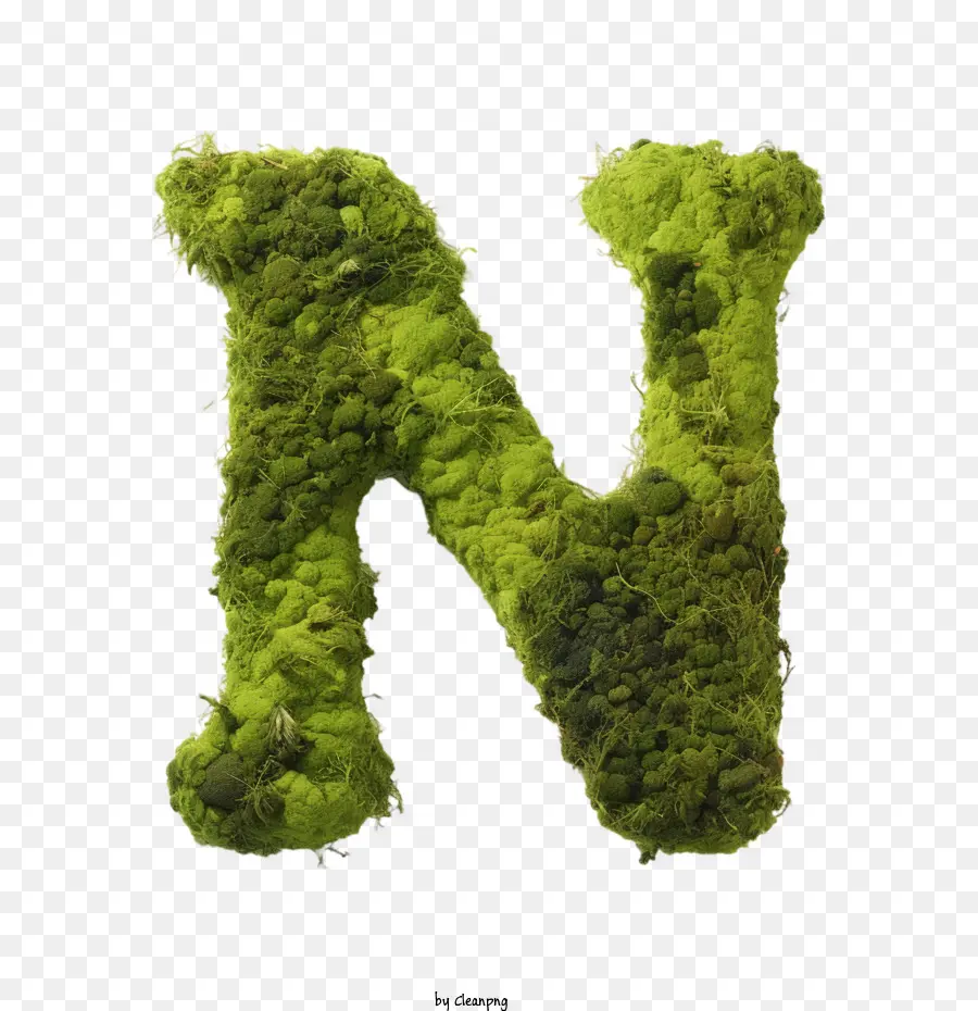 Lettre N，Lettre N Mousse Verte PNG