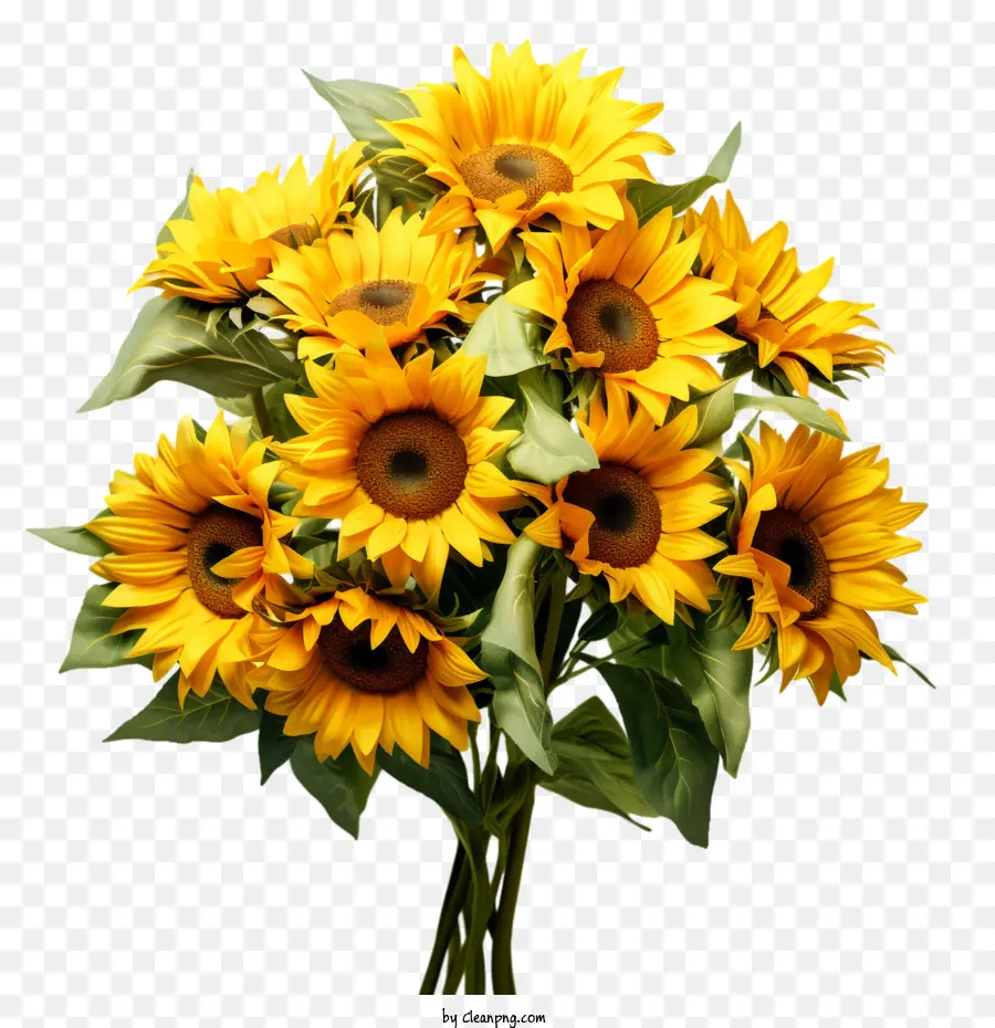 Journée Nationale Du Tournesol，Tournesols PNG