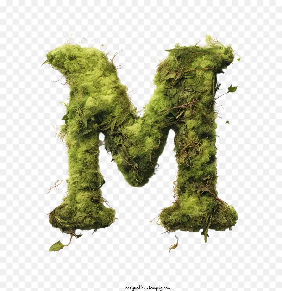 La Lettre M，Moss PNG