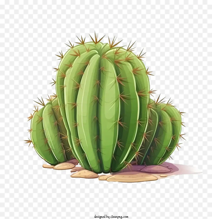 Cactus，Désert PNG