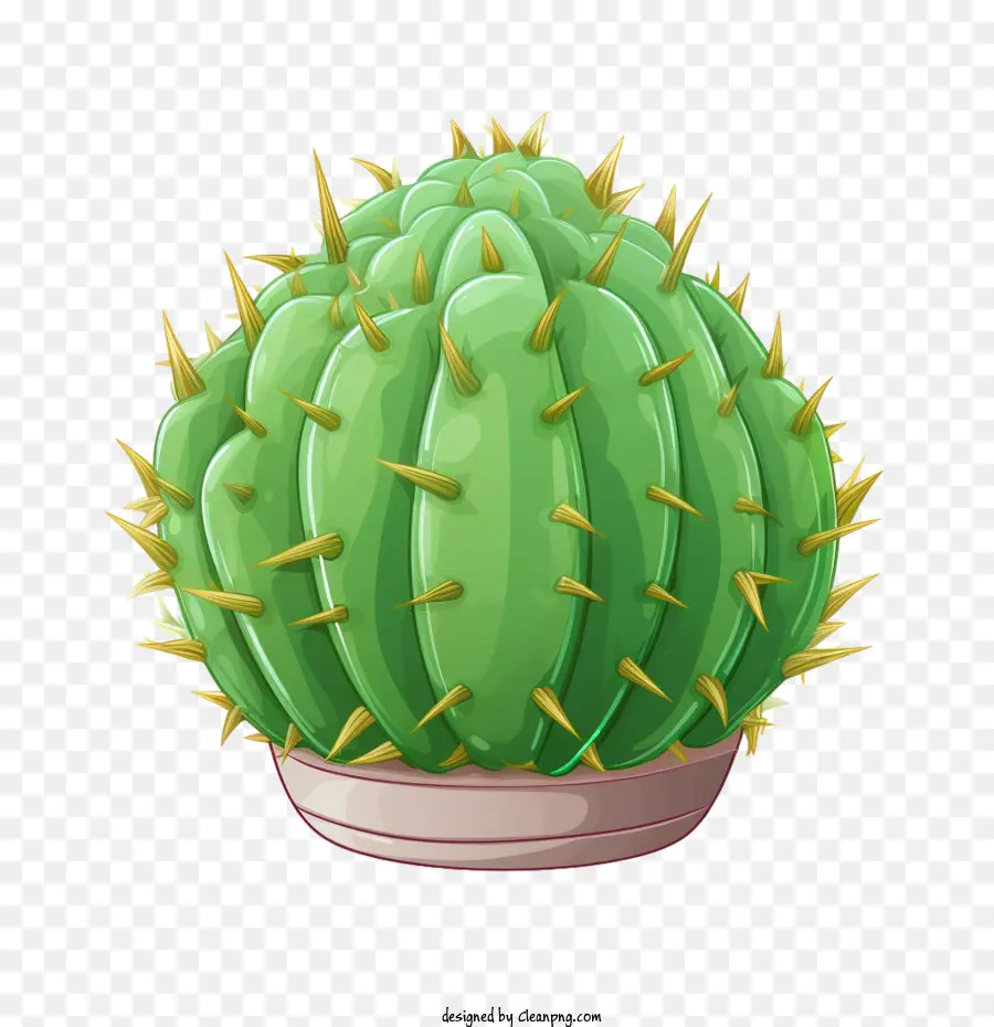 Cactus，Succulent PNG