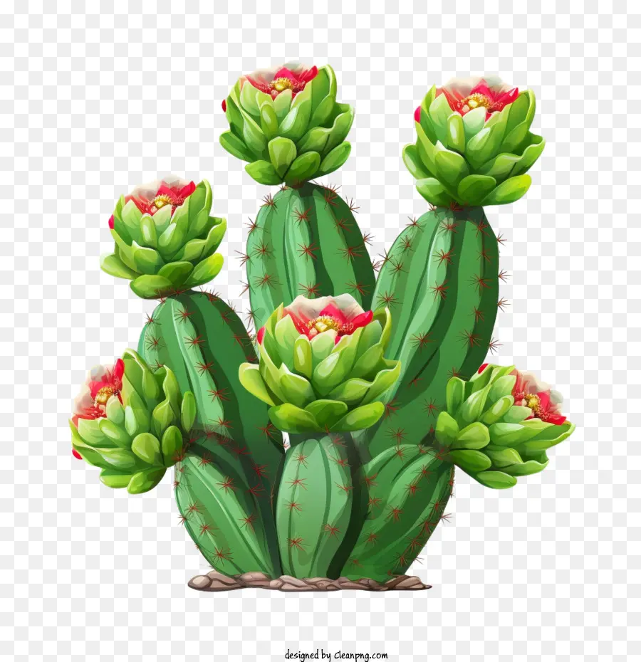 Cactus，Figue De Barbarie PNG