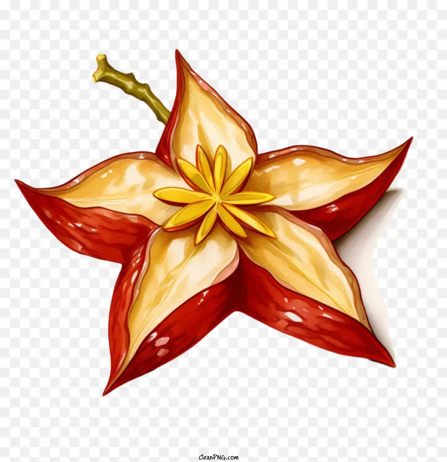 Carambole，Fleur Rouge PNG