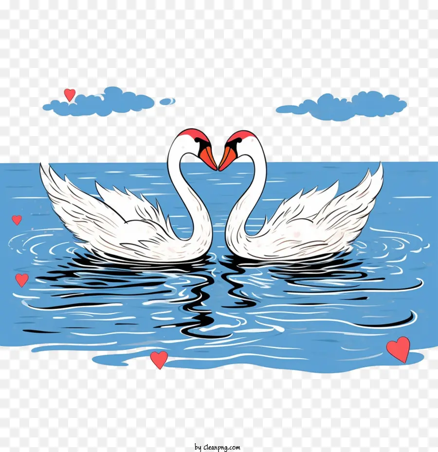 Cygne，Cygnes PNG