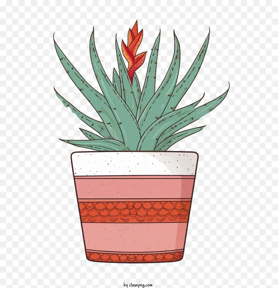 Aloé Vera，Plante En Pot PNG