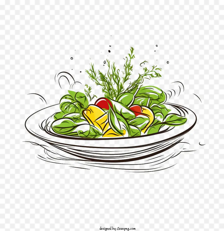 Salade，Légumes PNG