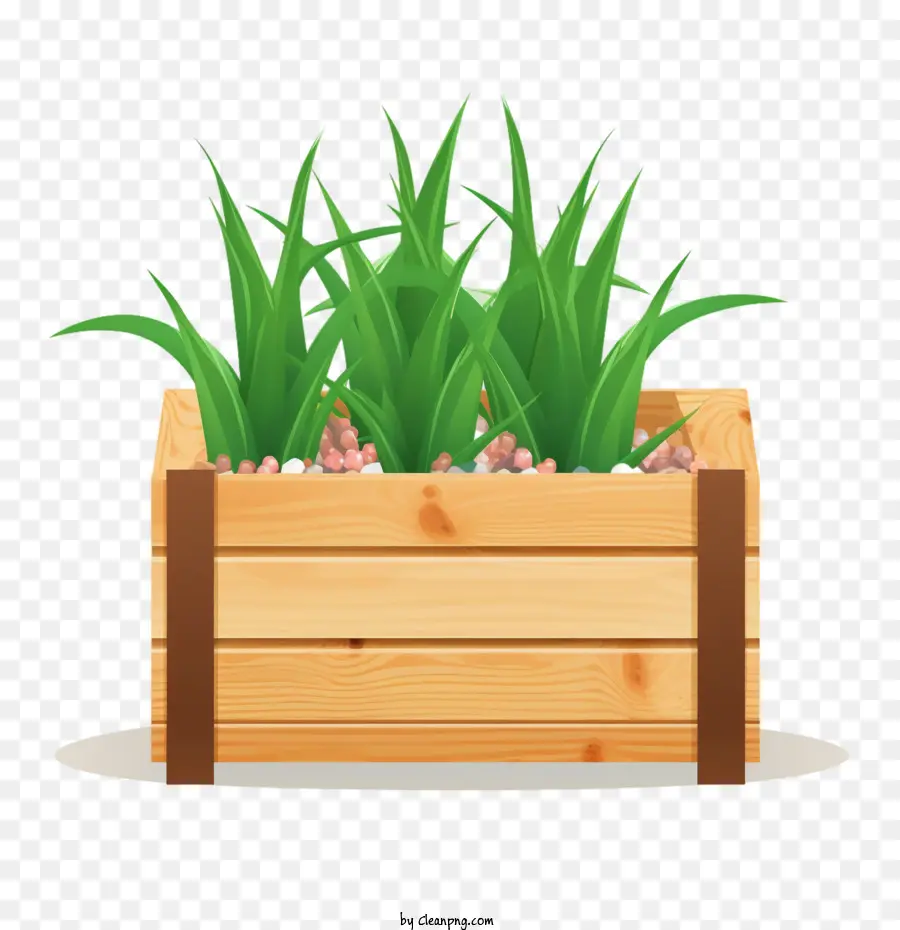 Aloé Vera，Jardinière En Bois PNG