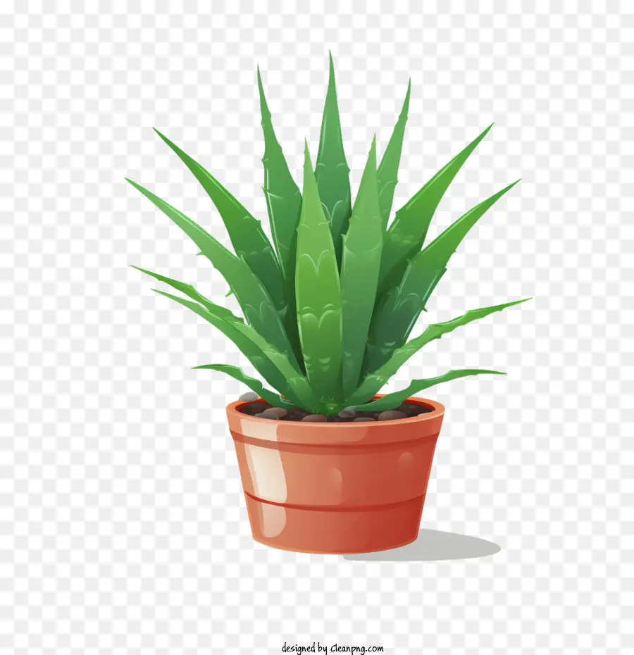 Aloé Vera，Plante En Pot PNG