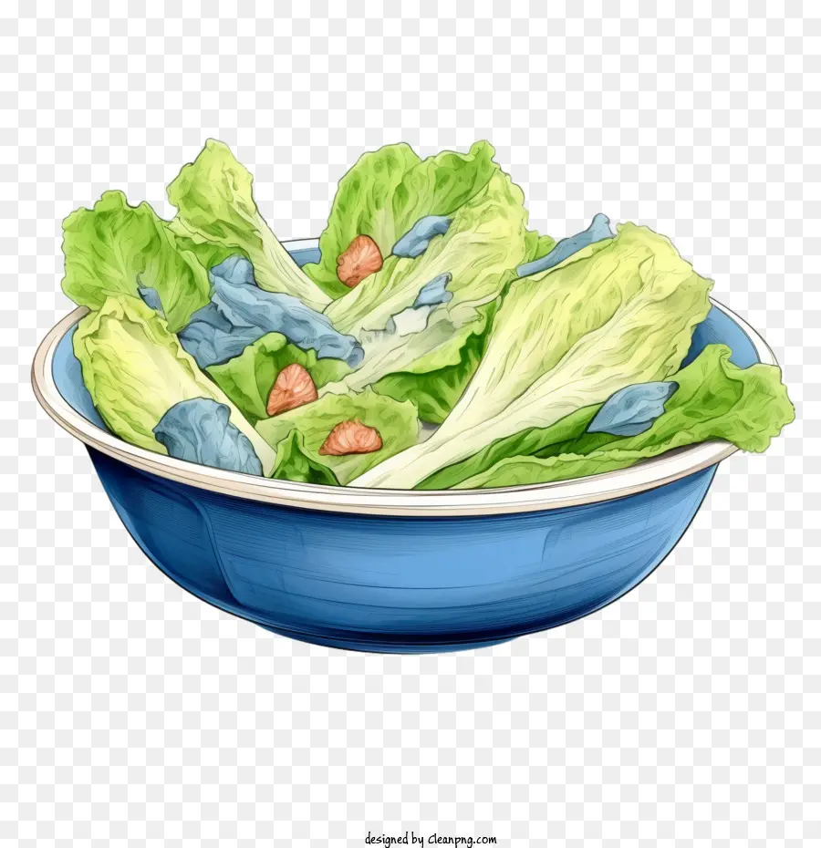 Salade，Saladier PNG