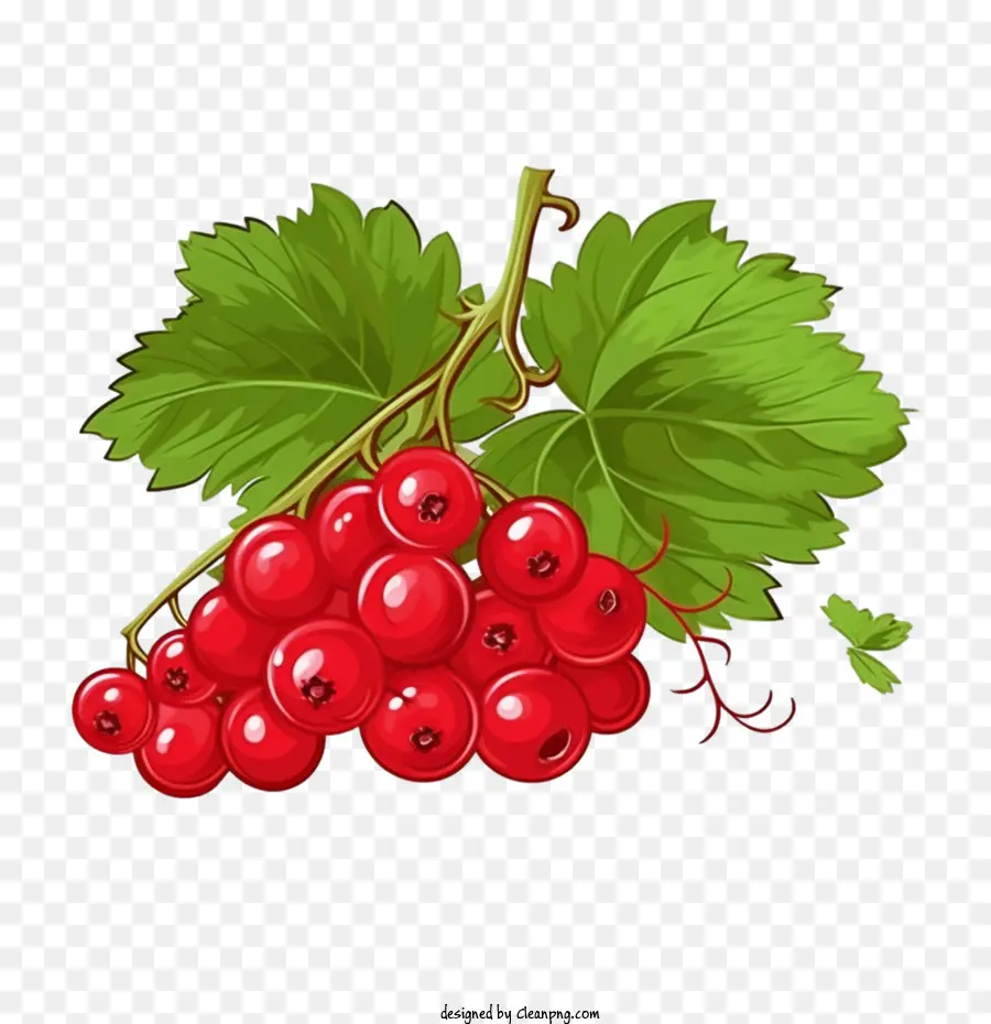 Canneberges Rouges，Framboise PNG